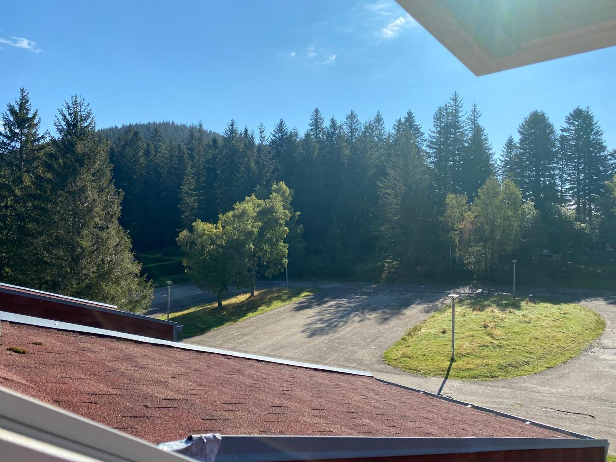 Au P'Tit Nid Douillet De Lea Apartman Muhlbach-sur-Munster Kültér fotó