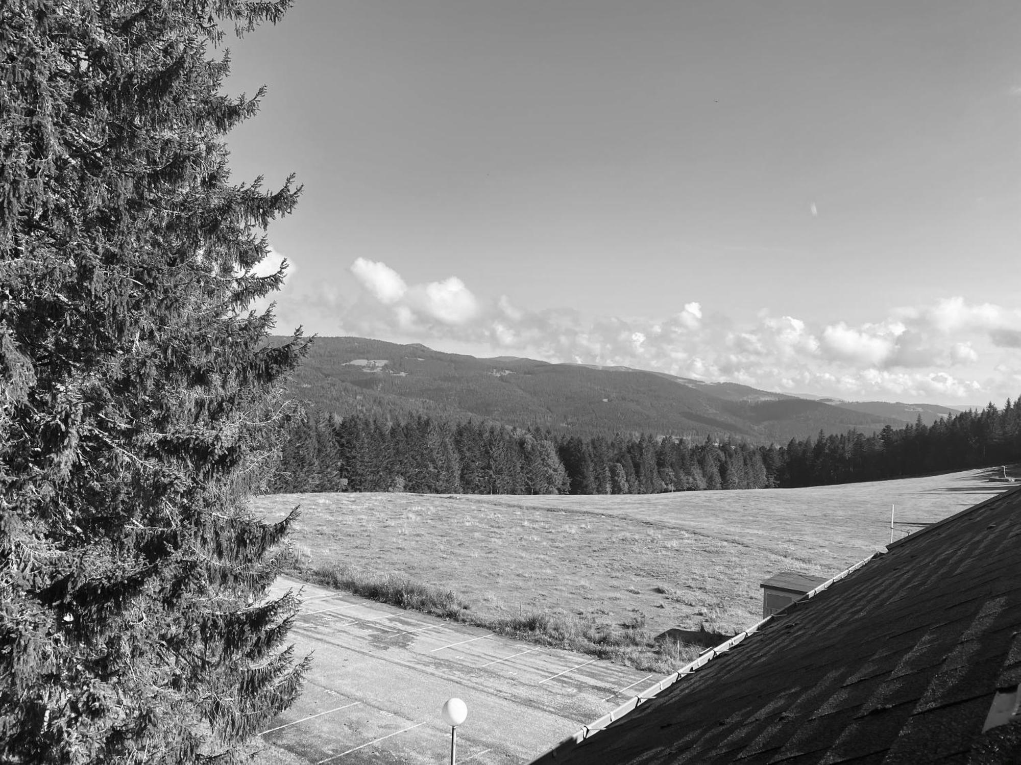 Au P'Tit Nid Douillet De Lea Apartman Muhlbach-sur-Munster Kültér fotó